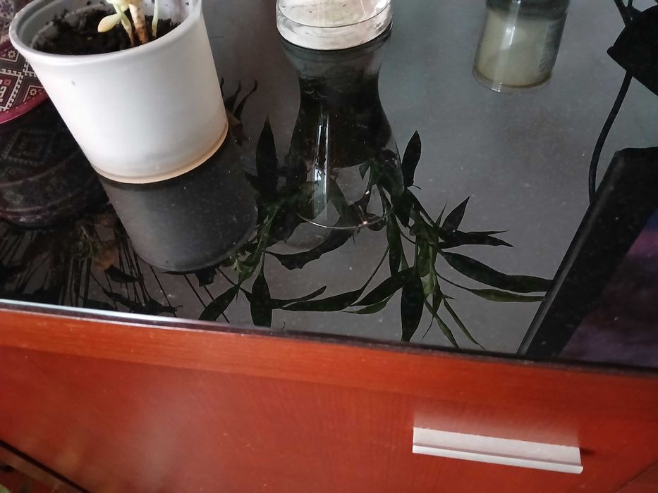 aparador em madeira castanho wengué com tampo em vidro