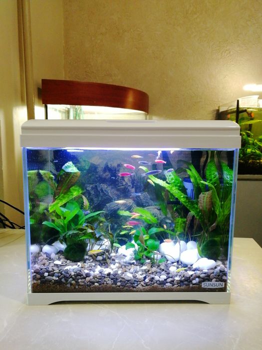 ЧУДОВИЙ ПОДАРУНОК | АКВАРІУМ з рибками SunSun 18л "Під ключ"