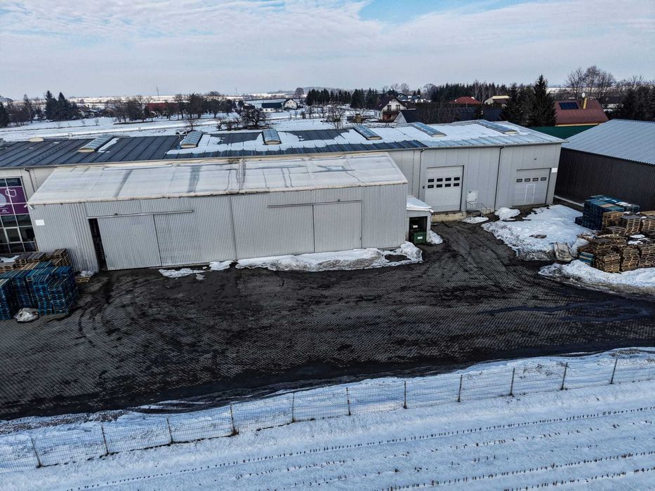 Magazyn Wierzbna 300 m2 wynajem