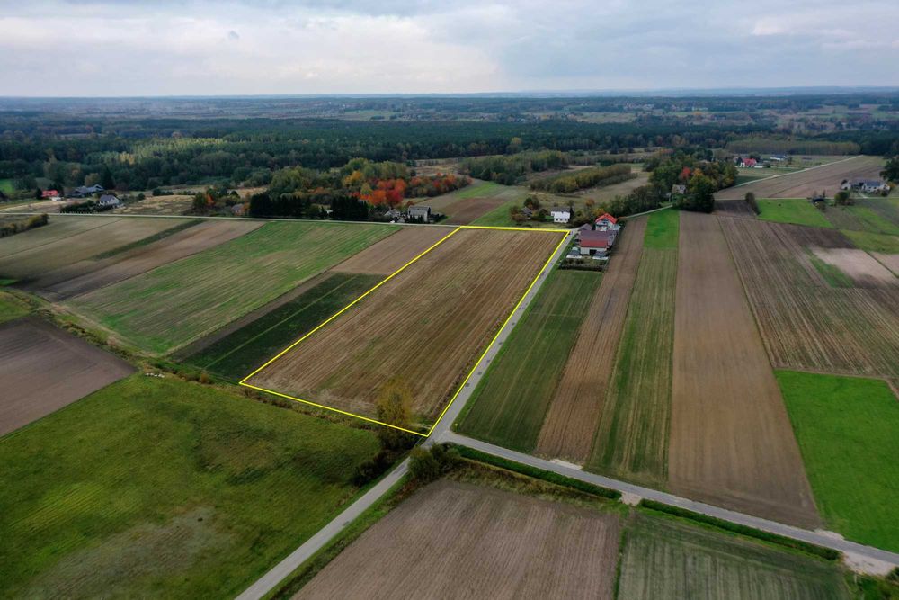 Działka pod dom 3000m2 - Janina gm. Busko-Zdrój