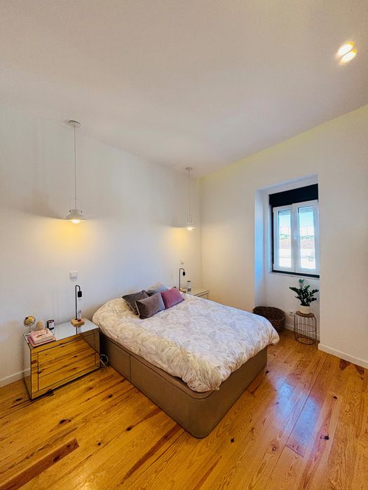 T1+1 com logradouro Olaias