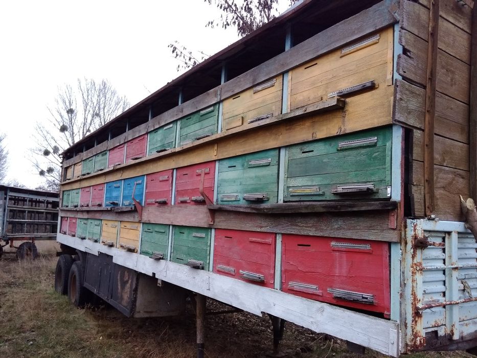 Прицеп с ульями без пчёл павильон причіп з вуликам без бджіл
