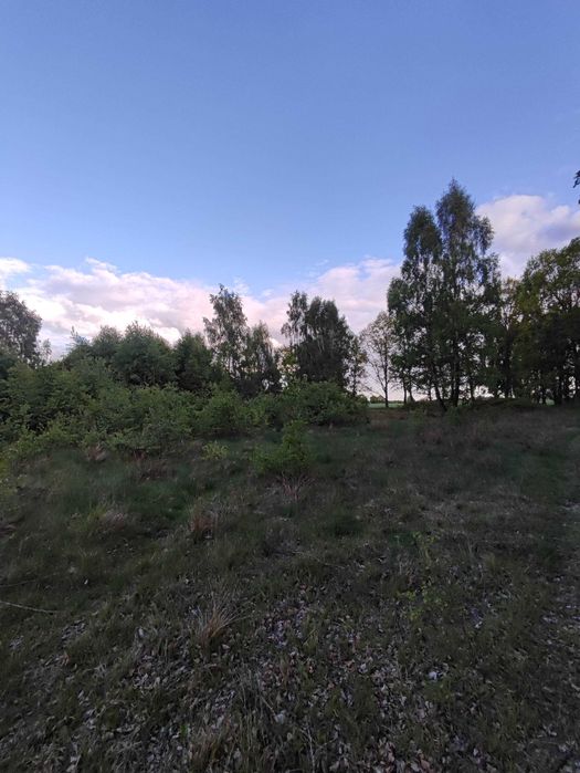 Piękne, zielone działki budowlane blisko morza (Międzywodzie) z MPZP - Widok 5