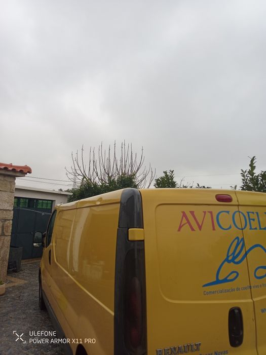 Renault trafic isotérmica longa