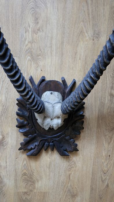 Poroże afrykańskie, antylopa