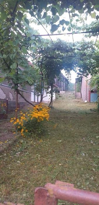 Продається будинок із земельною ділянкою в с. Циганівці