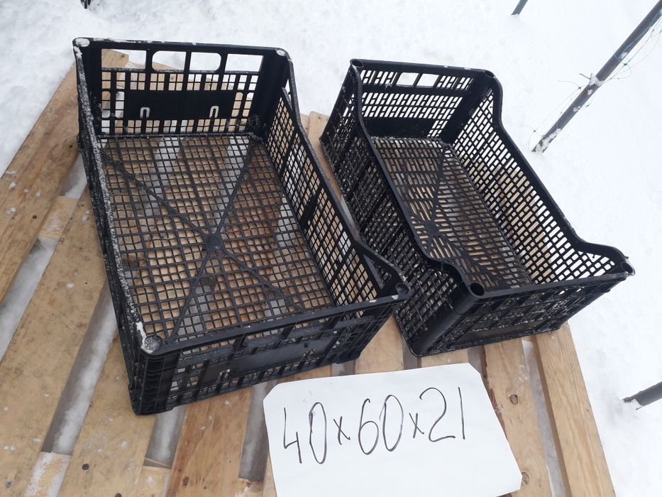 Ящики пластиковые пластмассовые овощные.