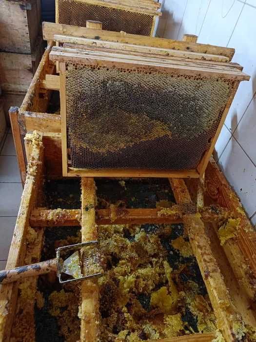 Naturalny MIÓD WIELOKWIATOWY Polski !!!Z Własnej PASIEKI - Wiadra miod