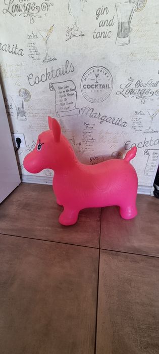 Дитячий стрибун Конячка