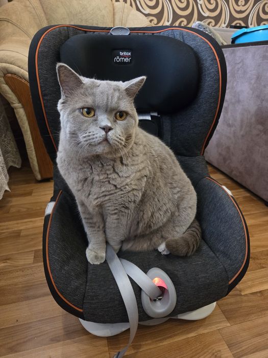 Автокрісло Britax Romer King 2 ATS   9 міс -4 роки