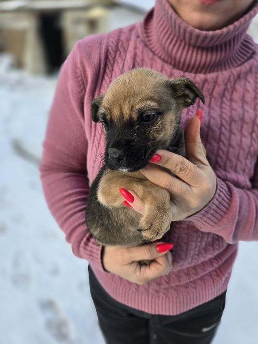 Хлопчики в добрі ручки!