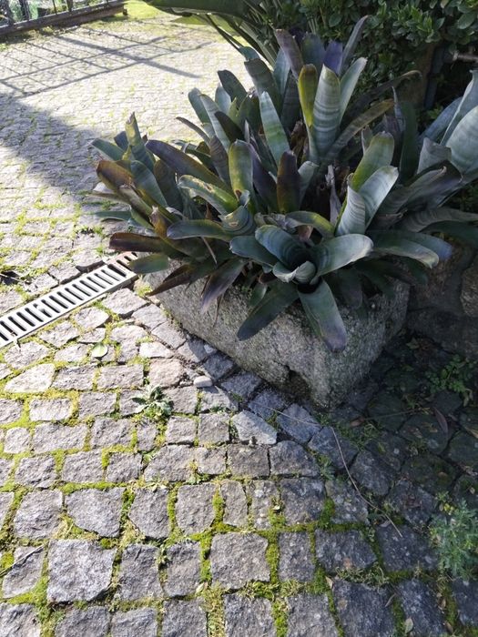 Várias pias em pedra