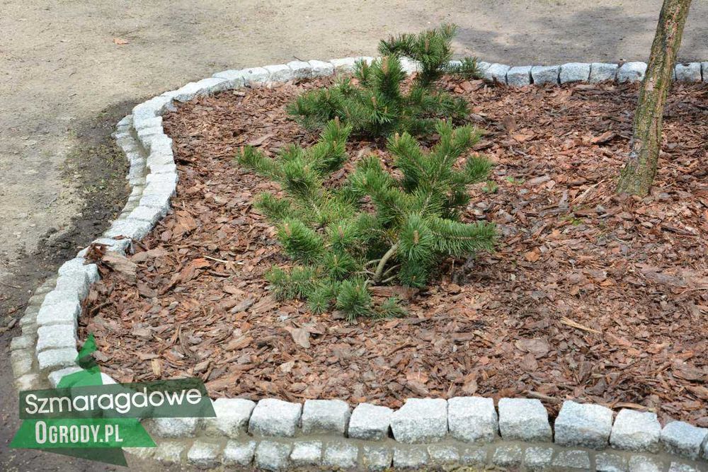 Kora sosnowa w workach 80l DETAL / HURT Łódź TRANSPORT