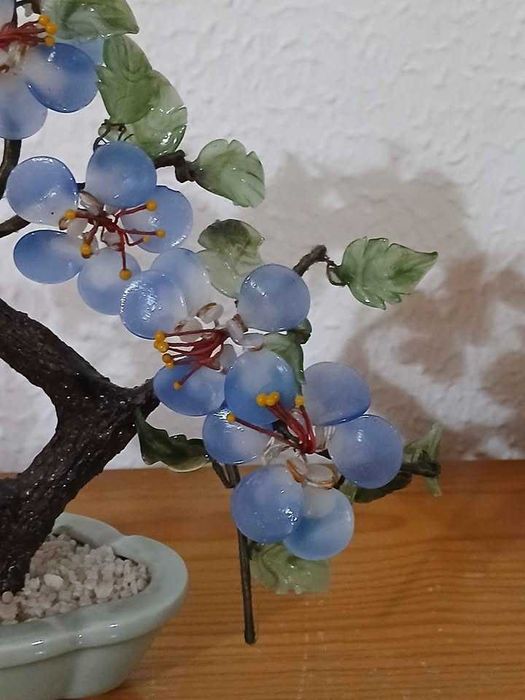 Bonsai em Vidro