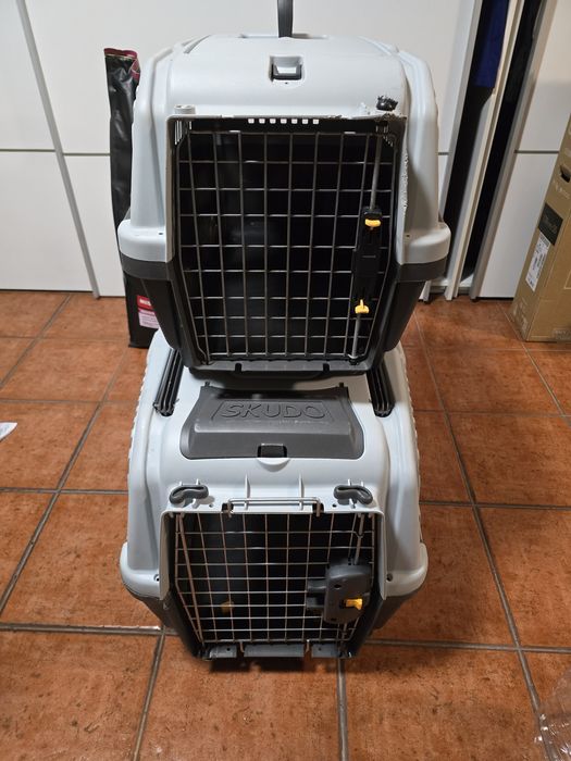 Acessórios e comida para cão