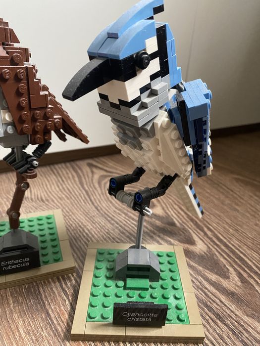 Lego Ideas 21301 Ptaki z 2015r.