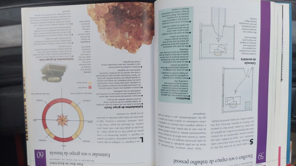 Guia Prático de Feng Shui de Lillian Too