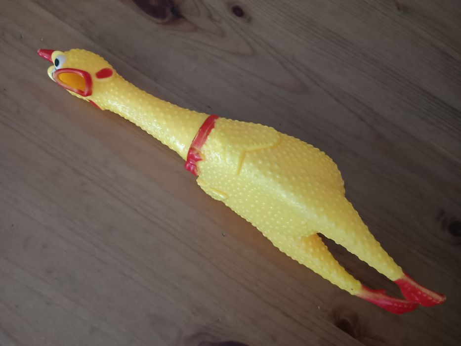 Zabawka dla psa Kurczak gryzak 38 cm