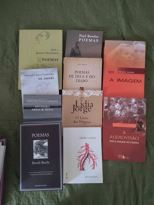 50 livros de autores clássicos, modernos, teatro e poesia, 2€ a 15€