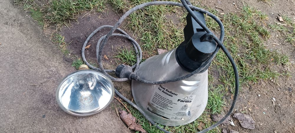 Lapa grzewcza do hodowli pisklat