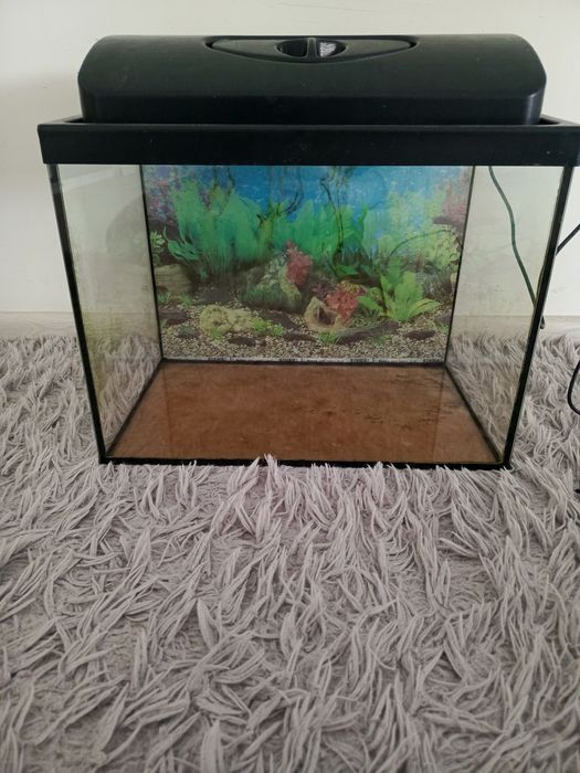 Akwarium 30 l zestaw kompletny