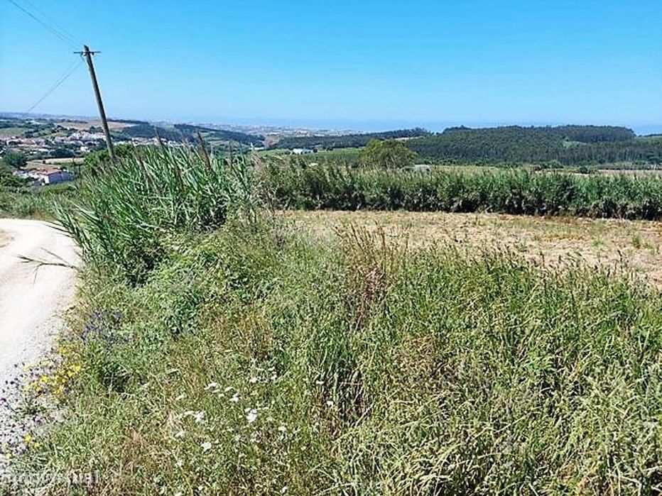 Terreno  para venda — Lourinhã E Atalaia, Lisboa