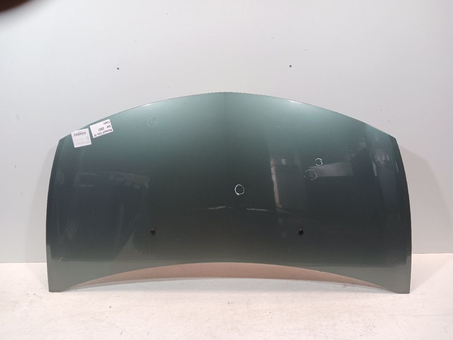 Capot RENAULT Clio III (BR0/1, CR0/1)