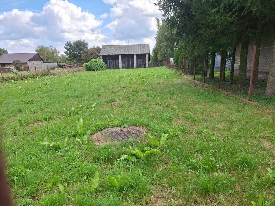Zdjęcie 8