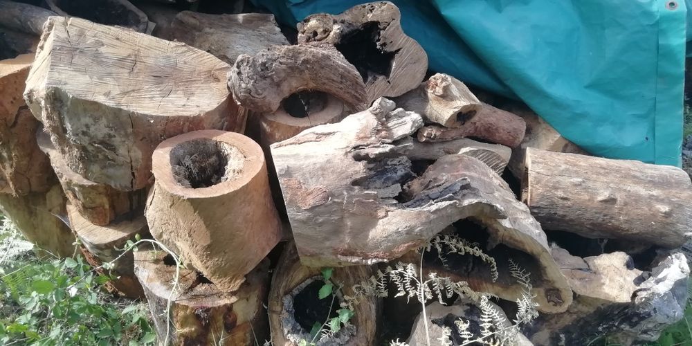 Madeira, troncos rústicos artesanato decoração