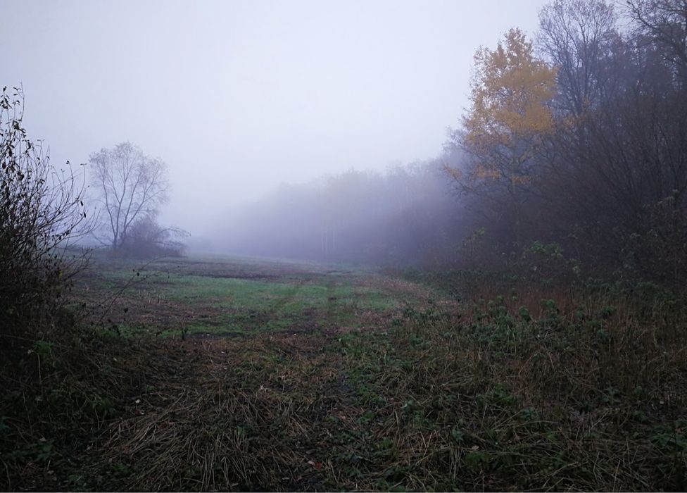 с.Русанів 15,4сот Земельна ділянка ОСГ