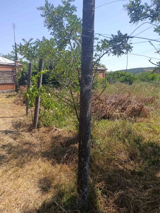 Продам дом с. Долинское. ананьев, одесса