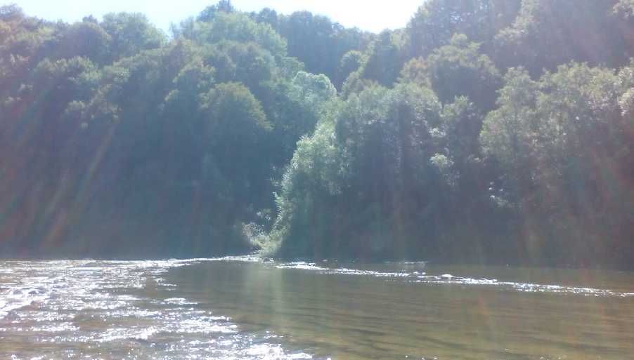 Земельна ділянка 1 га, Нижнє Синьовидне, біля р. Стрий