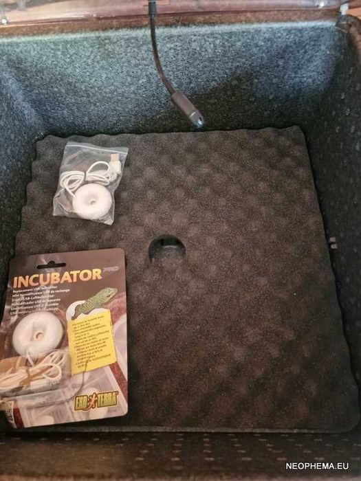 Exo Terra Inkubator PRO z kontrolą wilgotności do gadzich jaj