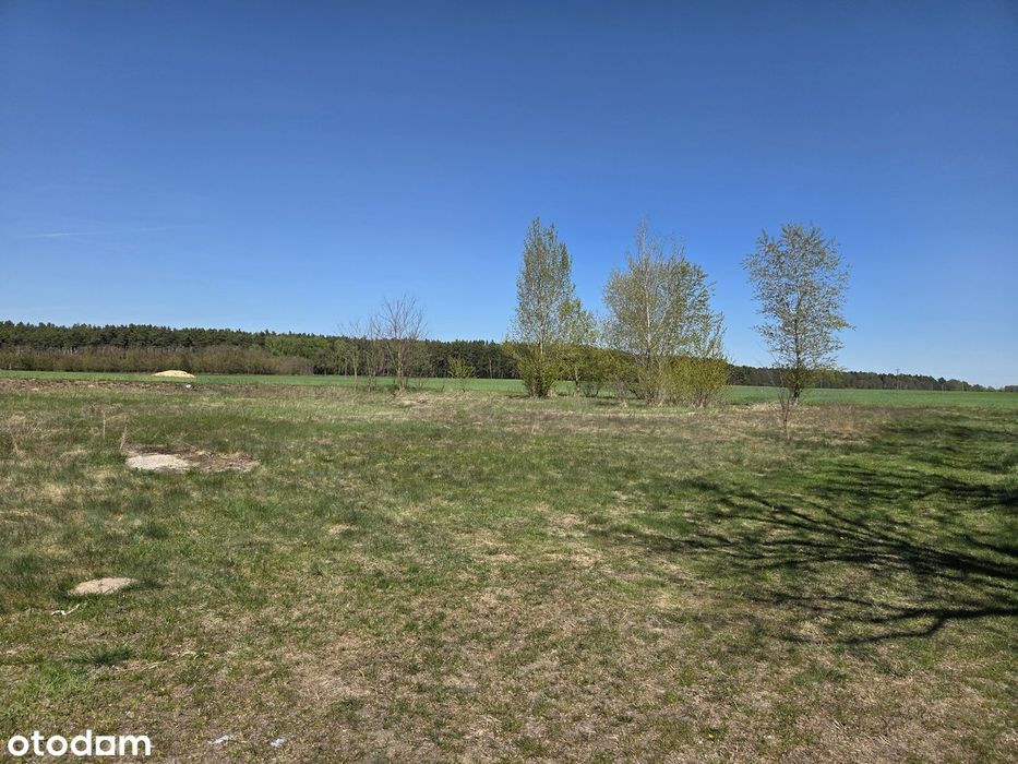 Działka pod zabudowę mieszkalną jednorodzinną Czmoniec, gm. Kórnik - Widok 3