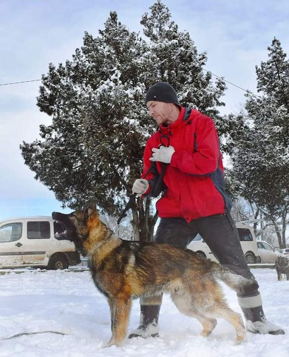 Дрессировка собак Кривой Рог