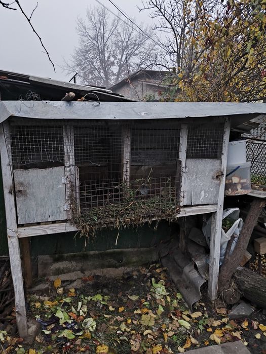 Клітка для кроликів