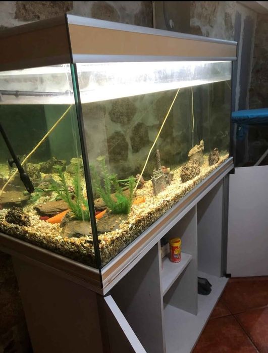 Aquário movel com bomba