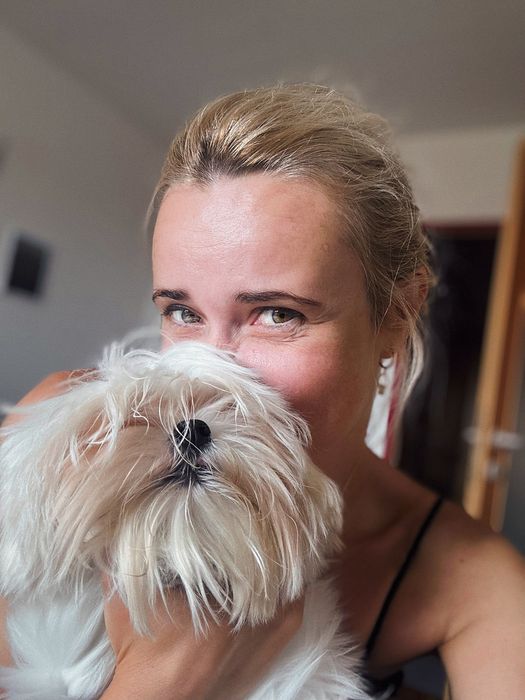 Мальтезе та Мальтіпу