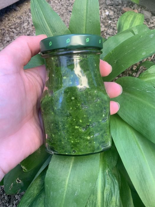 Pesto 2026r. z czosnku niedźwiedziego 7 szt po 180ml