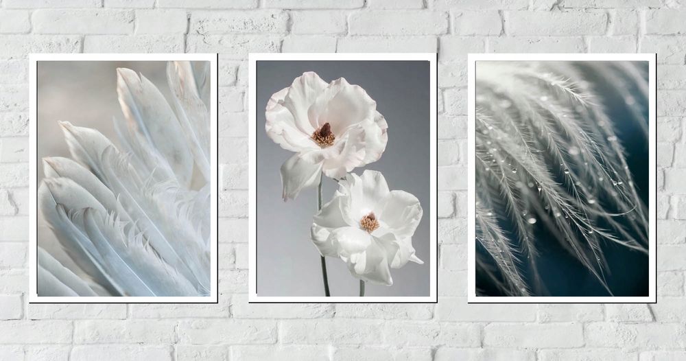 30x40 obrazy w ramie plakaty ramka  OBRAZ BIAŁE KWIATY PIÓRA SALON