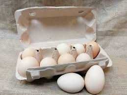 Jaja wiejskie, ekologiczne, wolny wybieg