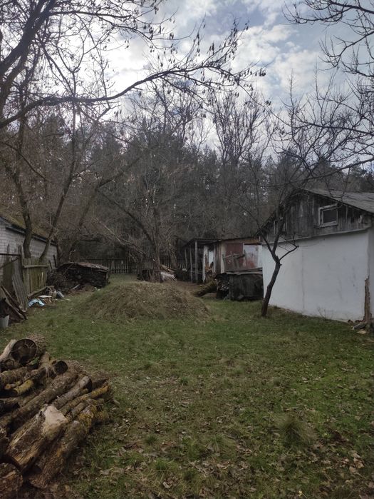 Продаж будинка с. Худоліївка біля лісу