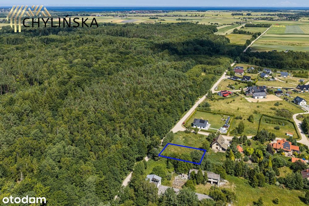 Działki w sąsiedztwie lasu i drogi, Brudzewo!