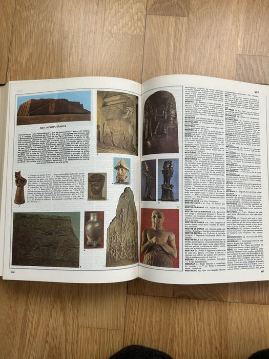 Dicionário enciclopédico Koogan Larouse Seleções -2volumes