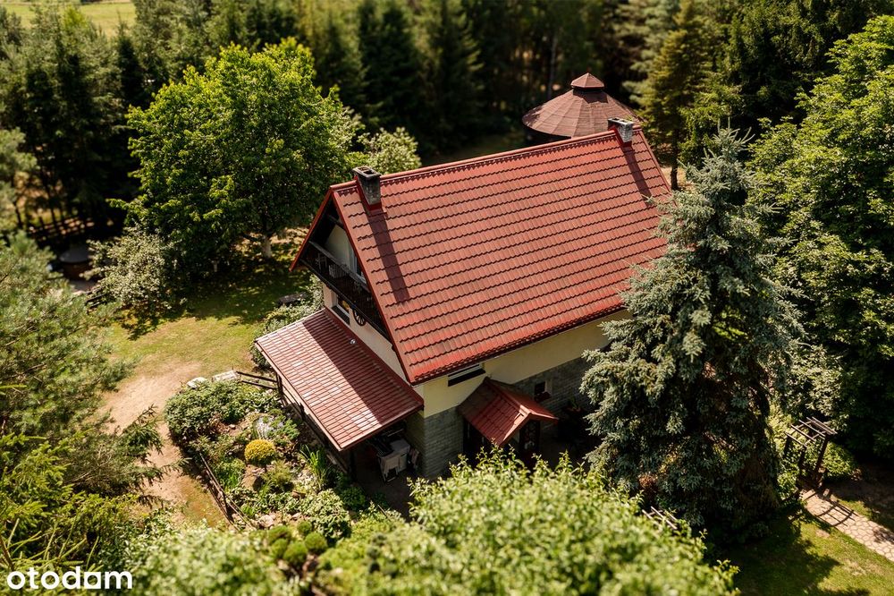 Siedlisko z linią brzegową rzeki na pograniczu Kaszub i Kociewia