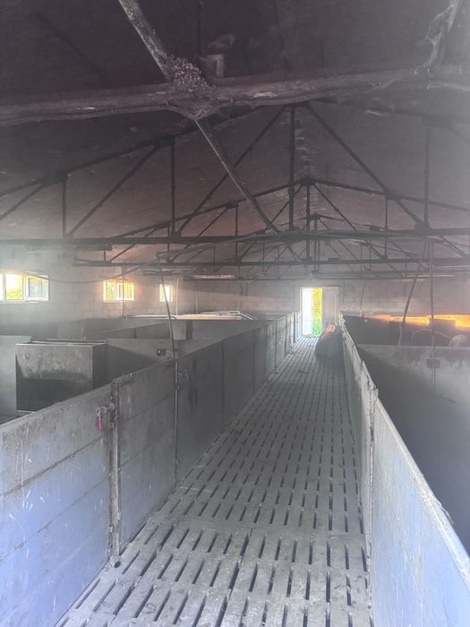 Продаж свиноферми 200м кв.