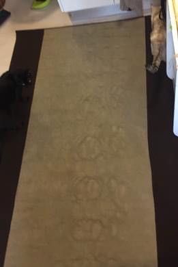 Tapete IKEA castanho e beje  (descontinuado)
