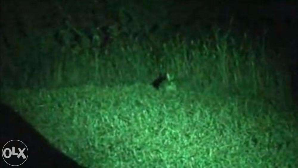 Laser Lanterna, de raio Verde, para caça visão nocturna