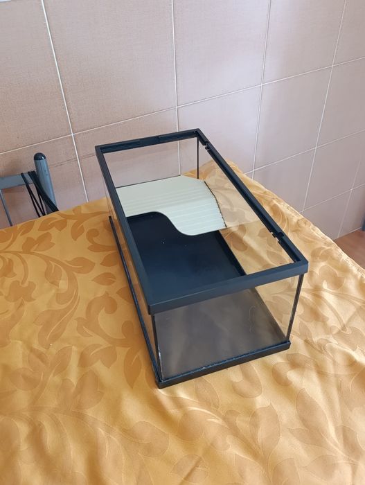 Aquário para tartaruga