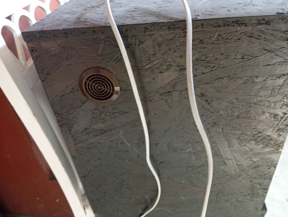 Terrarium z lampą
